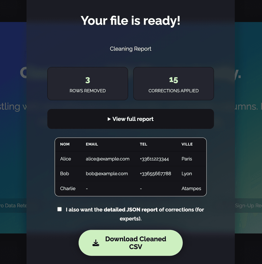 CleanMyCSV image 3