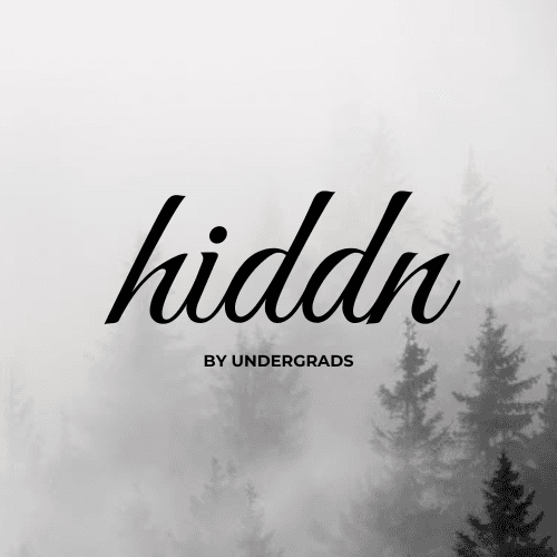 Hiddn image 2