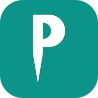 Pinreview - Visual feedback turns into task