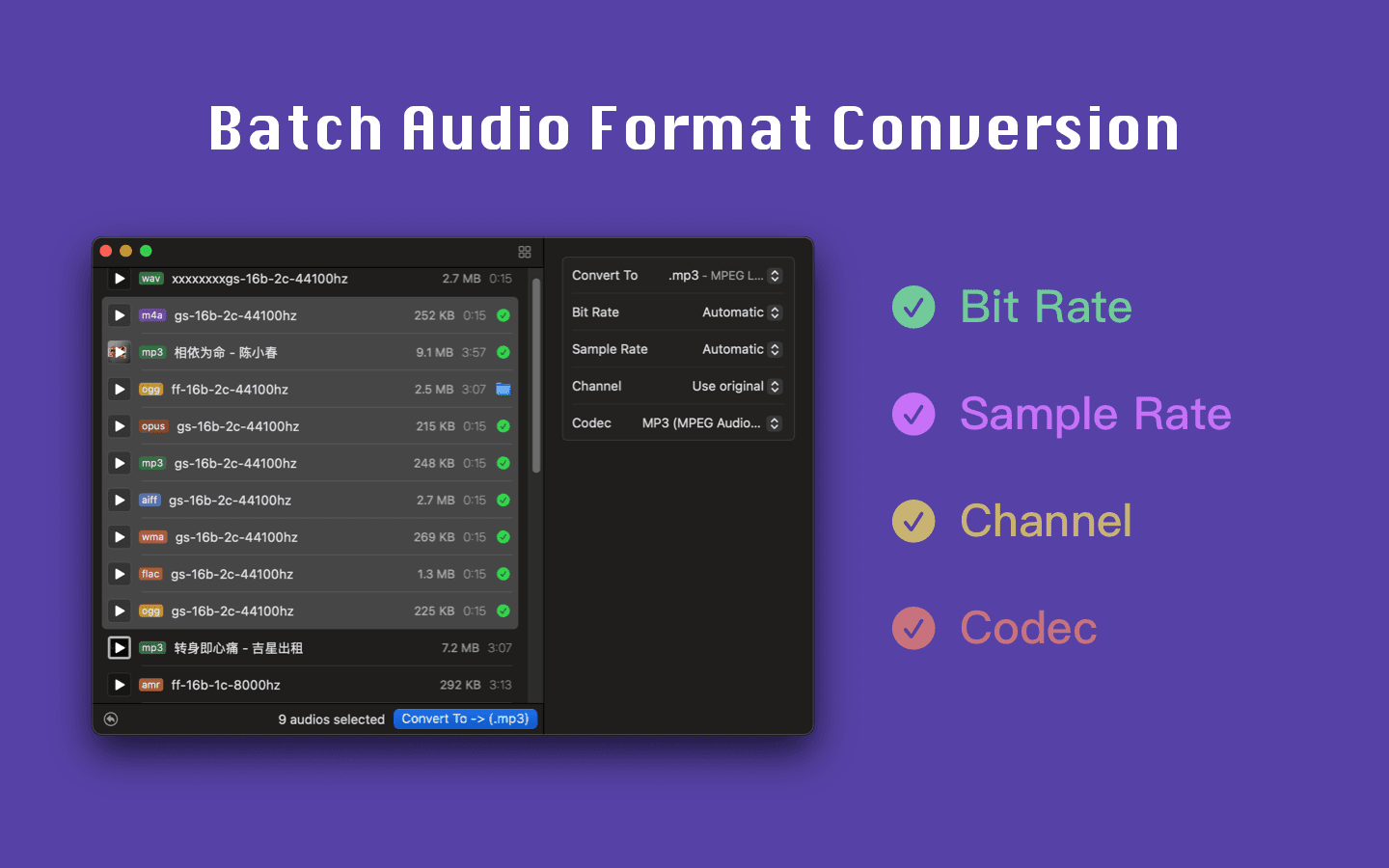 Audioer image 2
