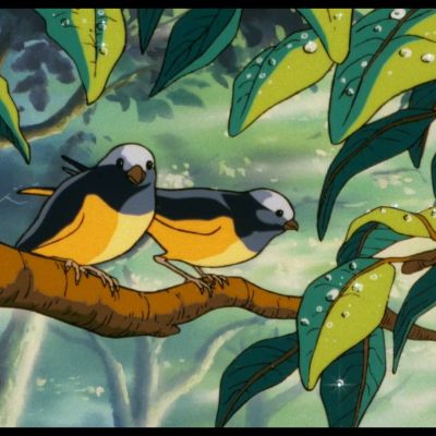 Francisco Gutiérrez