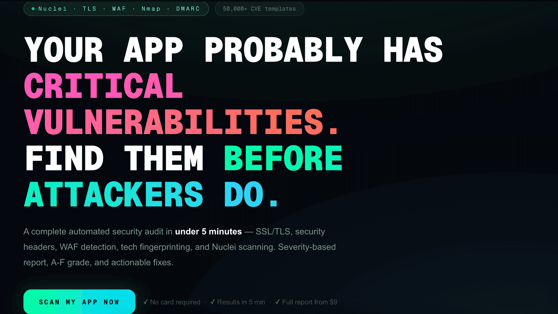Pentestr — Automated Web Security Audit image 1