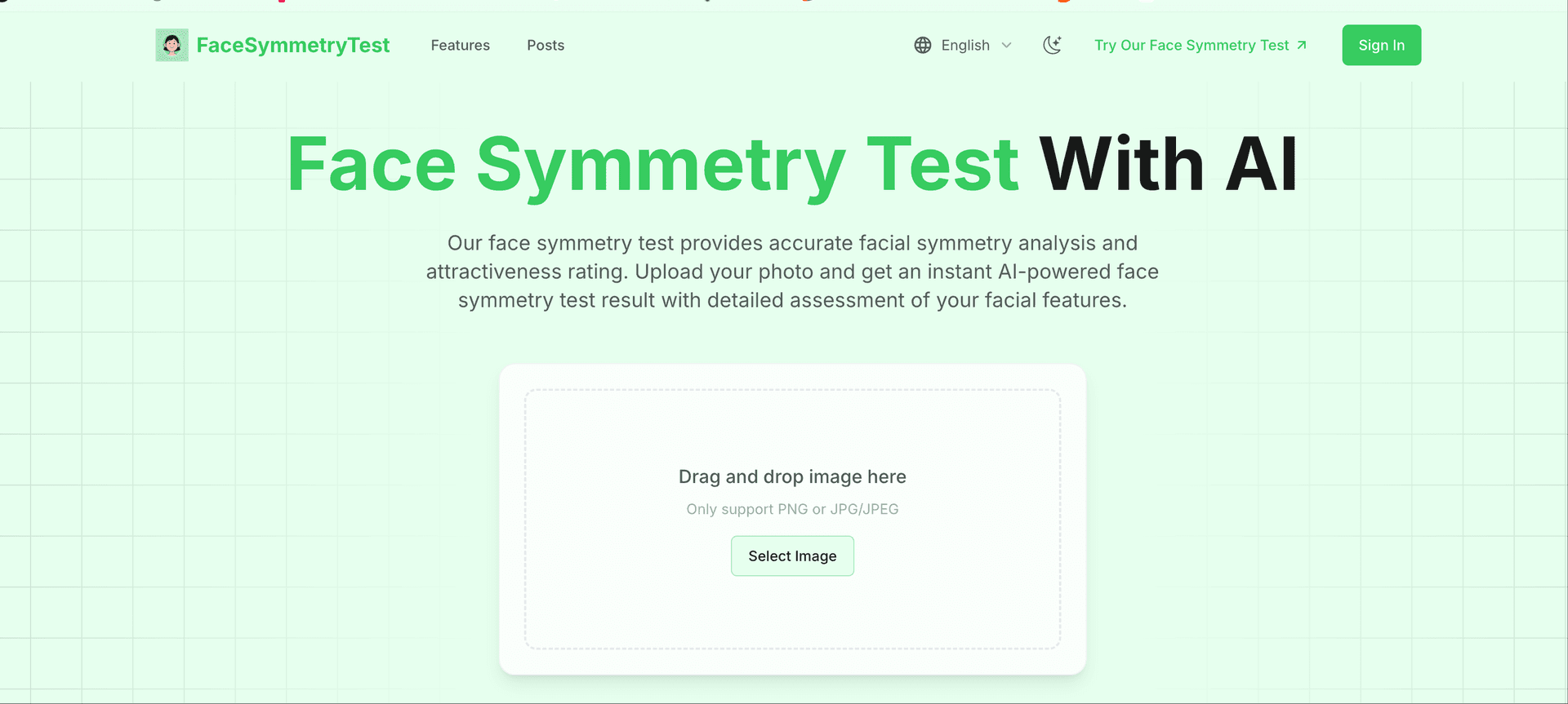 Face Symmetry Test image 1