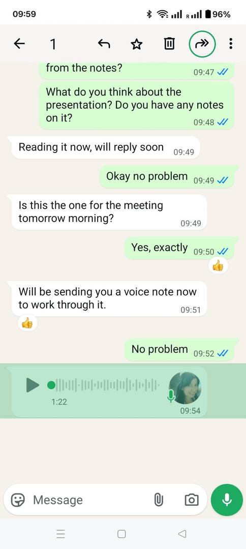 Transcribbit image 2