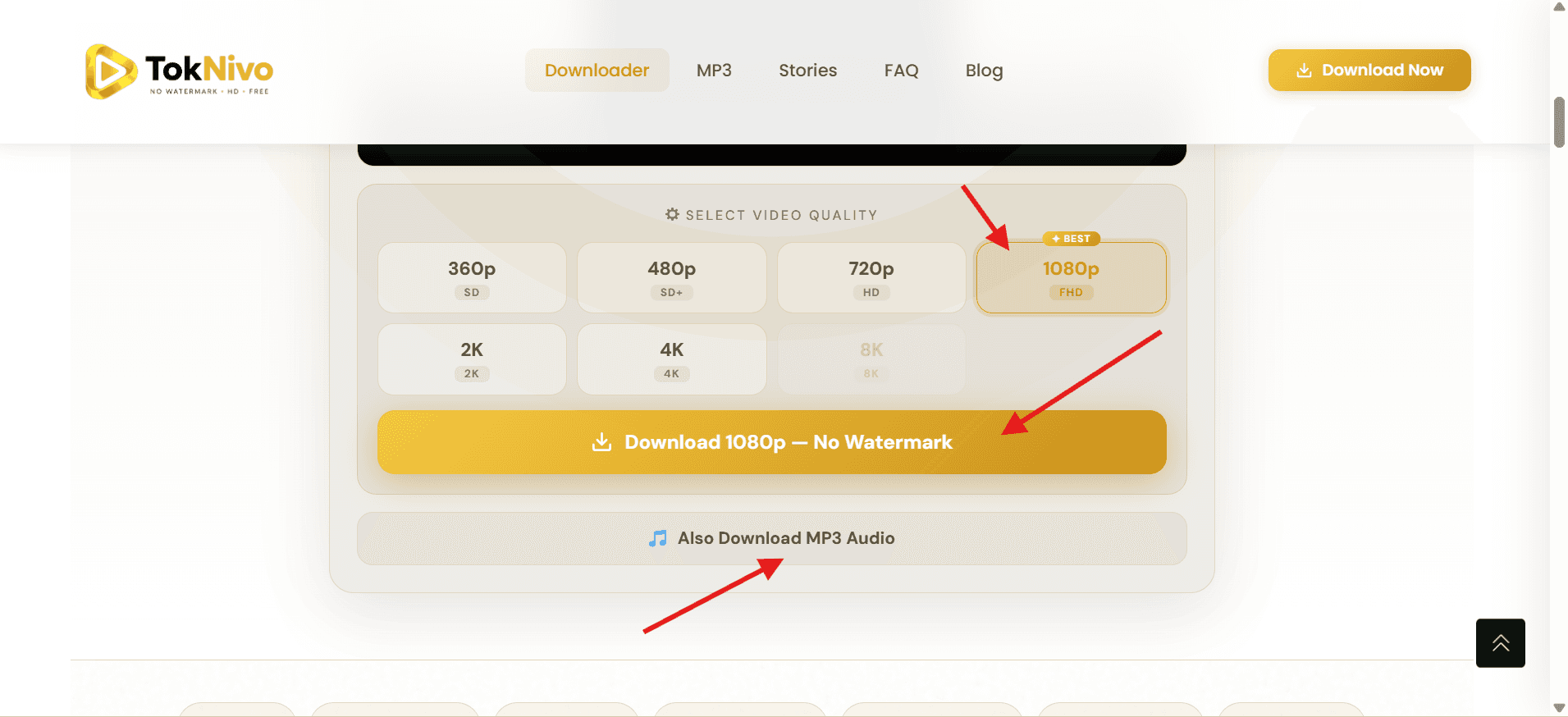 TokNivo - TikTok Video Downloader image 3