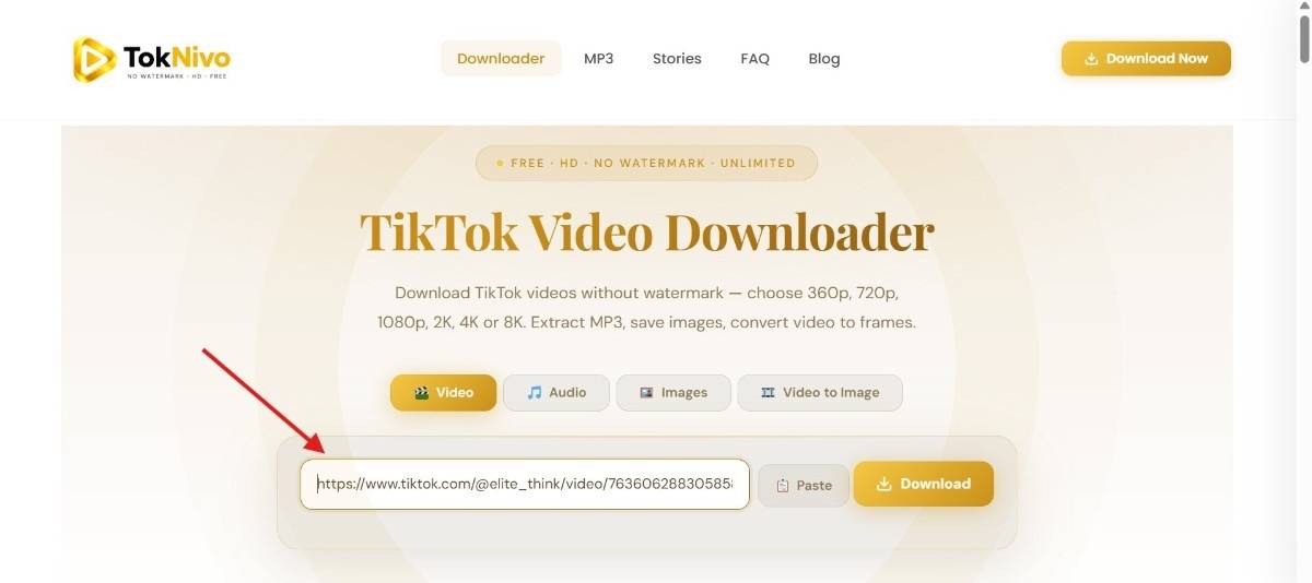 TokNivo - TikTok Video Downloader image 1