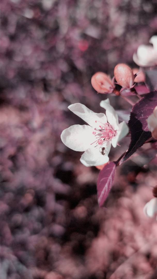 Apperture Film Phtography image 5