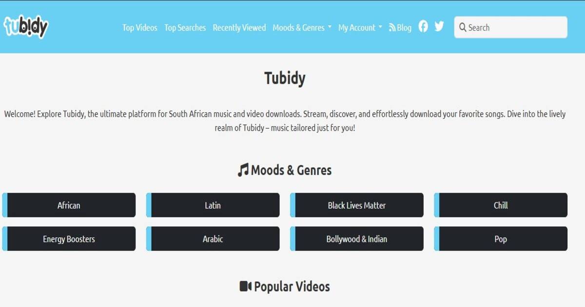 Tubidy mp3 downloader image 1
