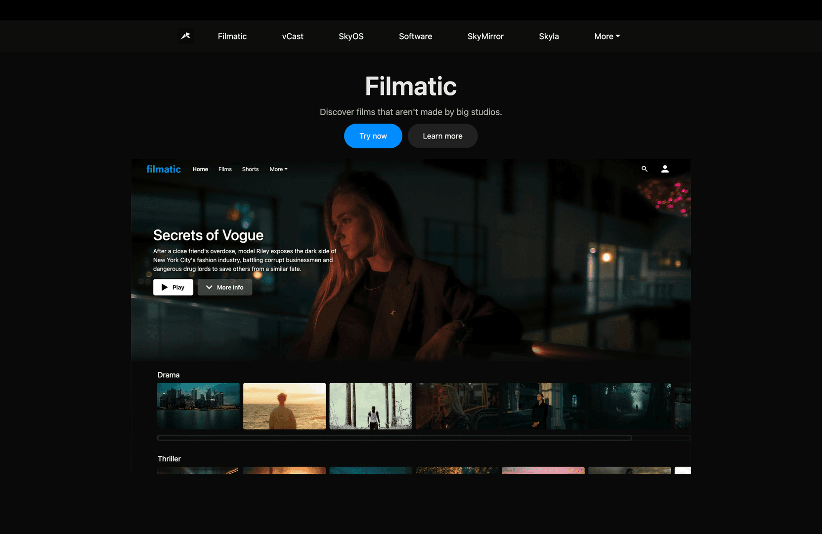 Sky Enterprises image 1