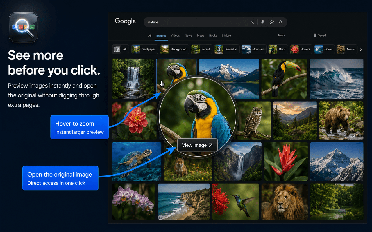 Classic Google Images View image 2