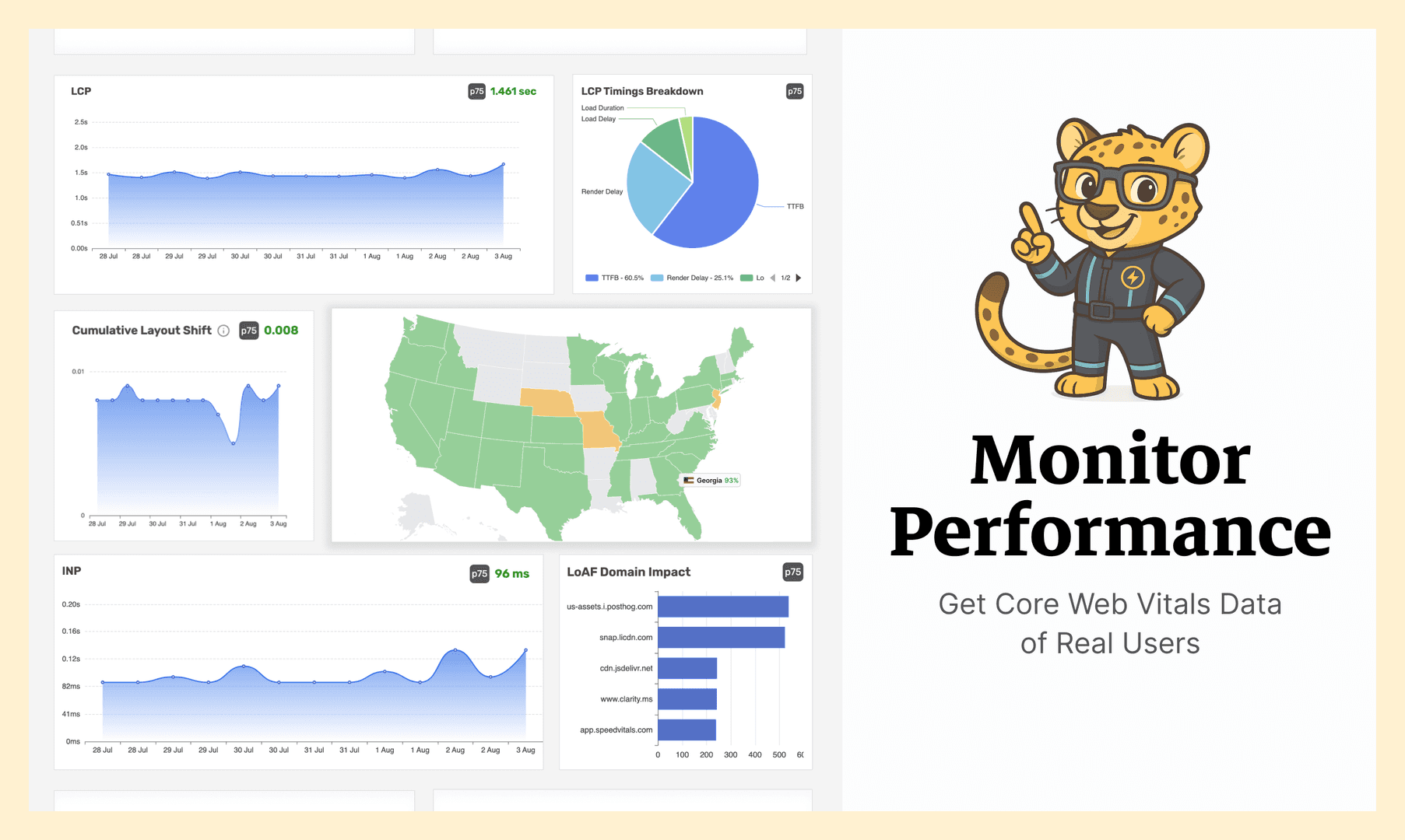 SpeedVitals RUM image 2