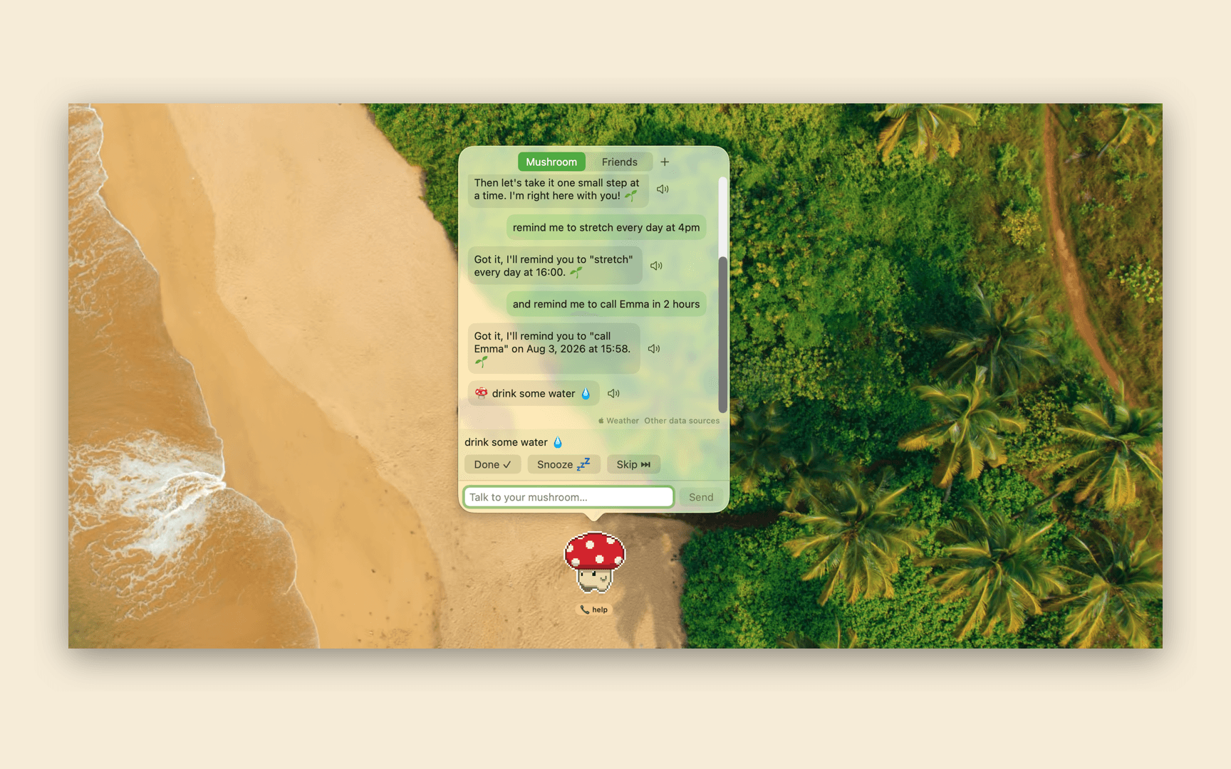 Mushroom image 1
