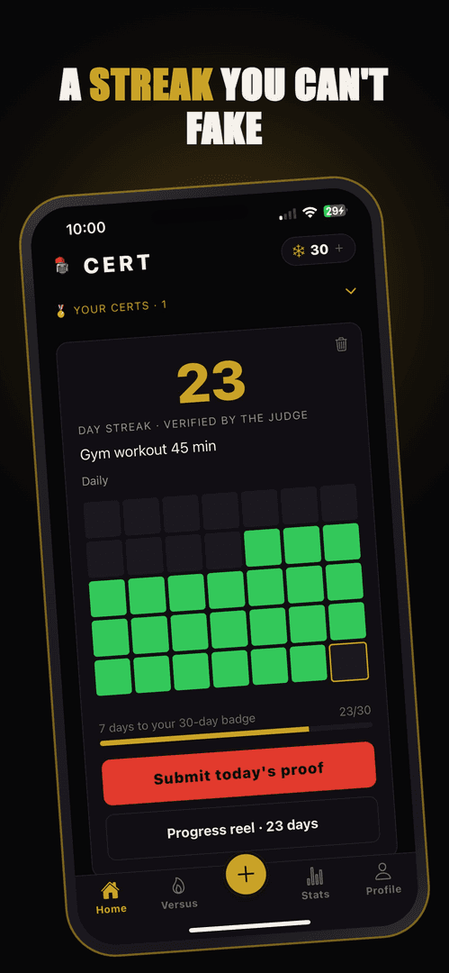 Cert — Authentic Streak image 2