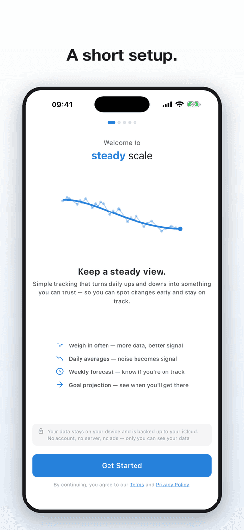 Steady Scale image 5
