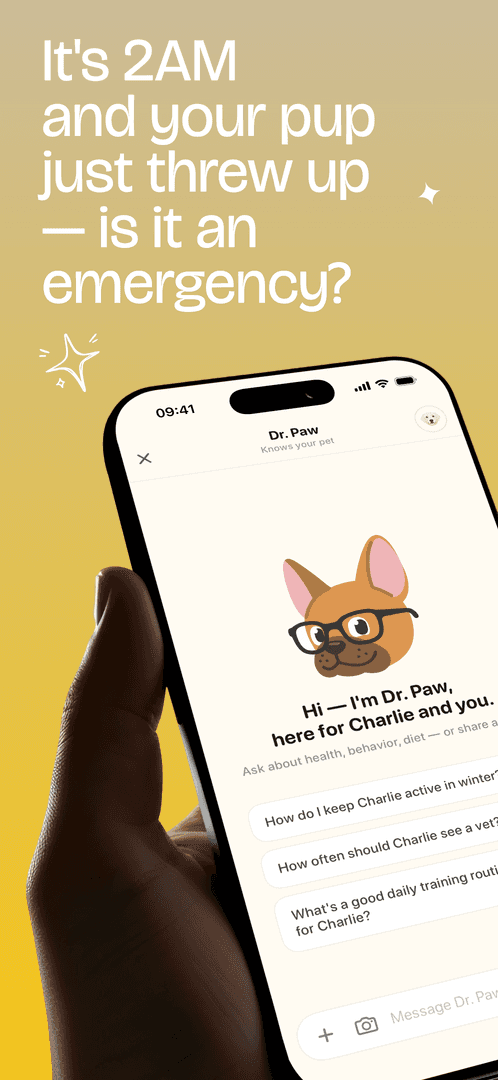 Paw Ai image 1
