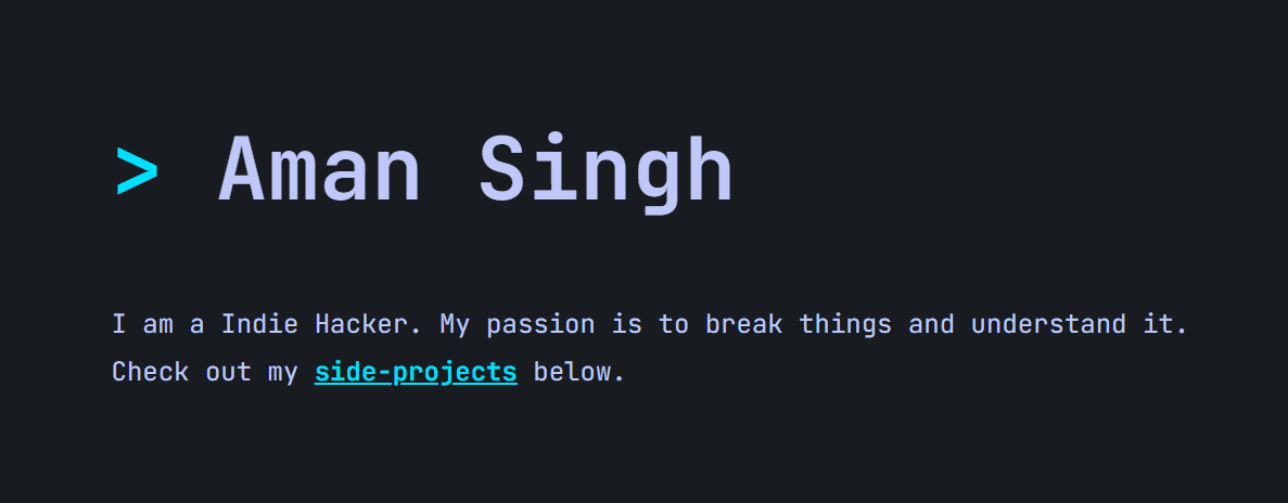 Portfolio v2 image 1