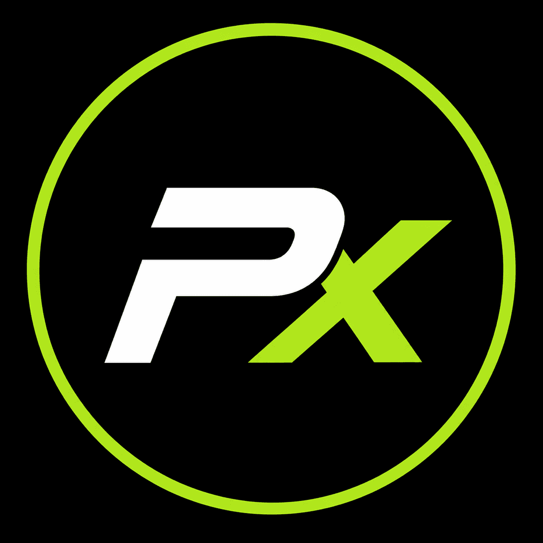 PixelPrompt X