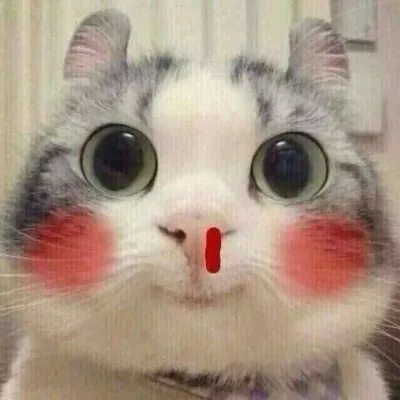 Kien Nguyen