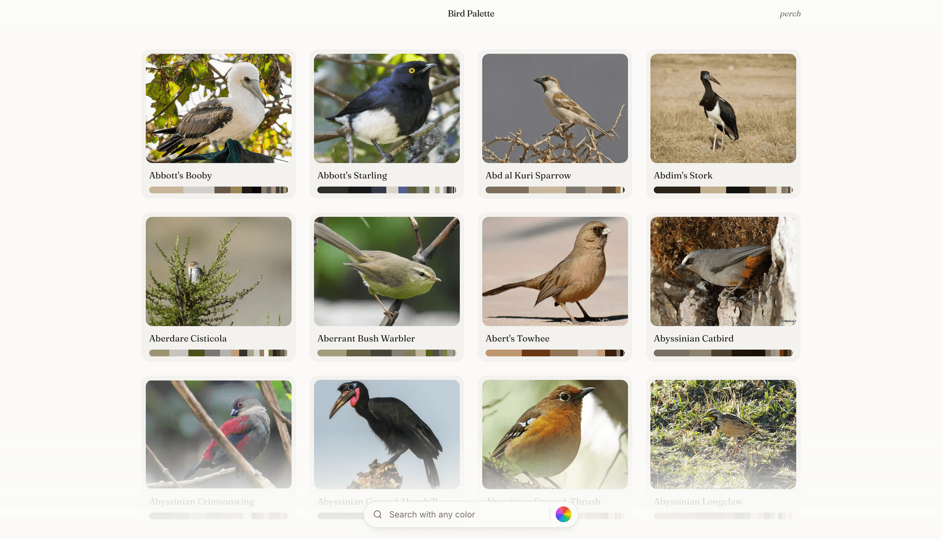 Bird Palette image 3
