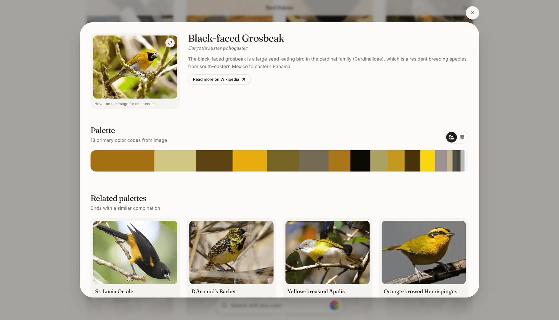 Bird Palette image 4