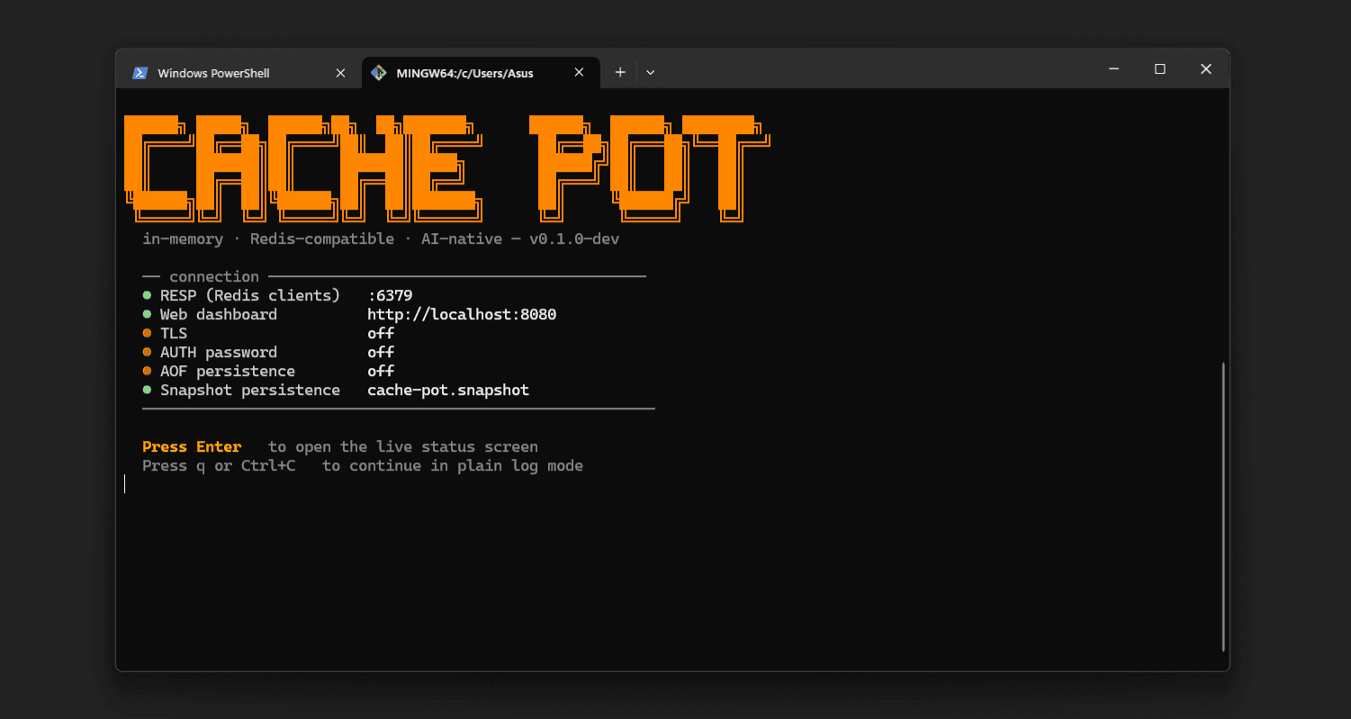 Cache-Pot image 2