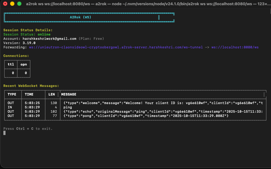 A2Rok (Tunneling Service) image 3