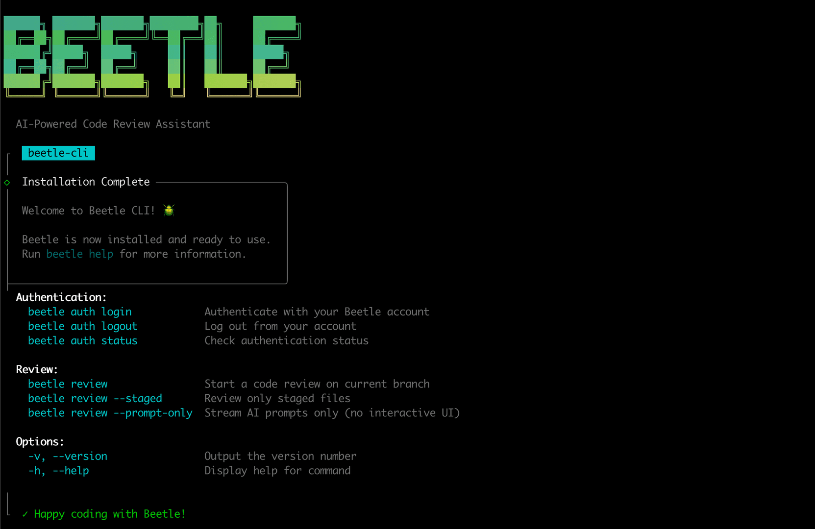 Beetle CLI | AI Code Reviews in Terminal image 2