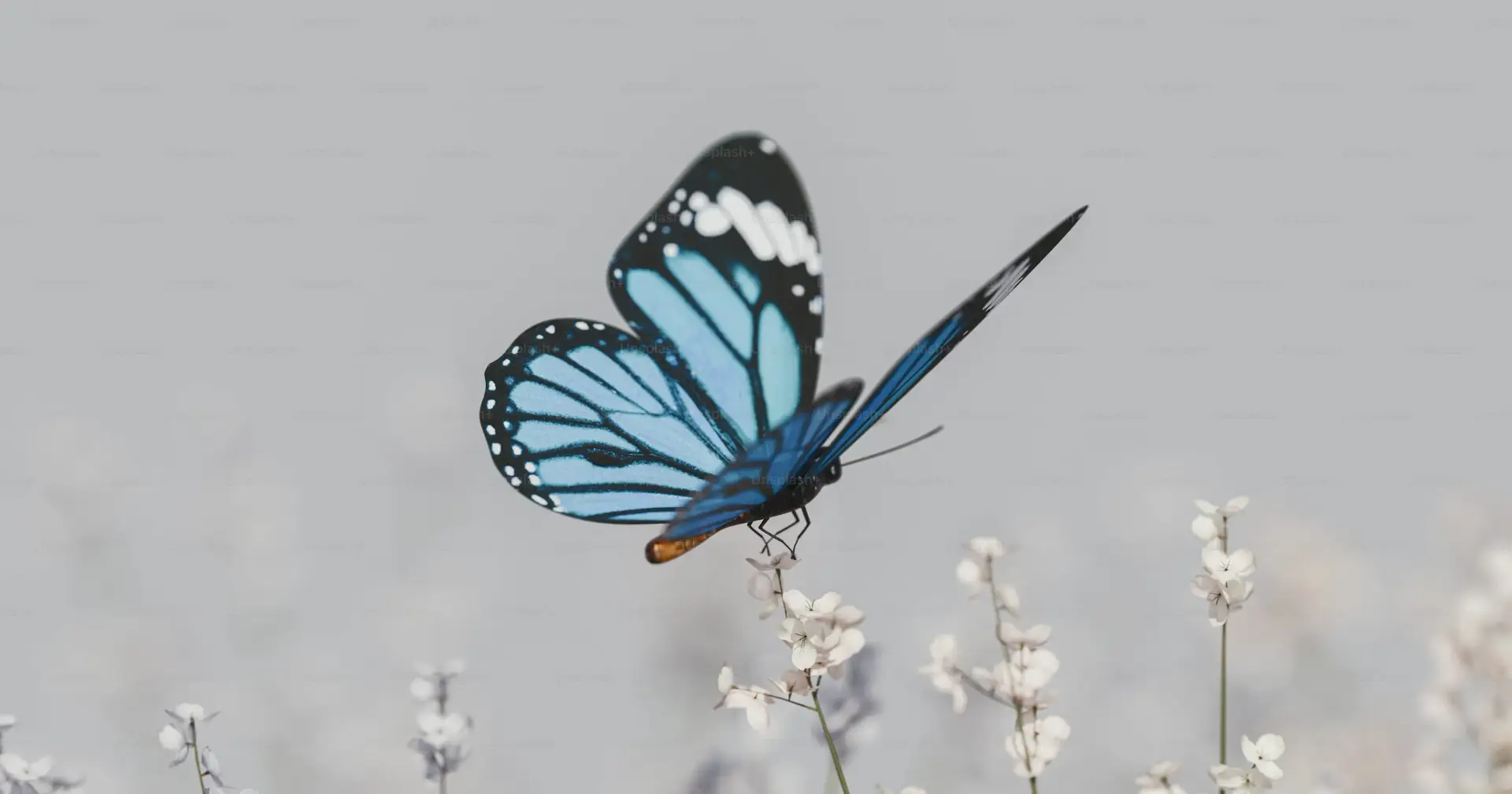 Not All Magic Comes Dressed as Fireworks