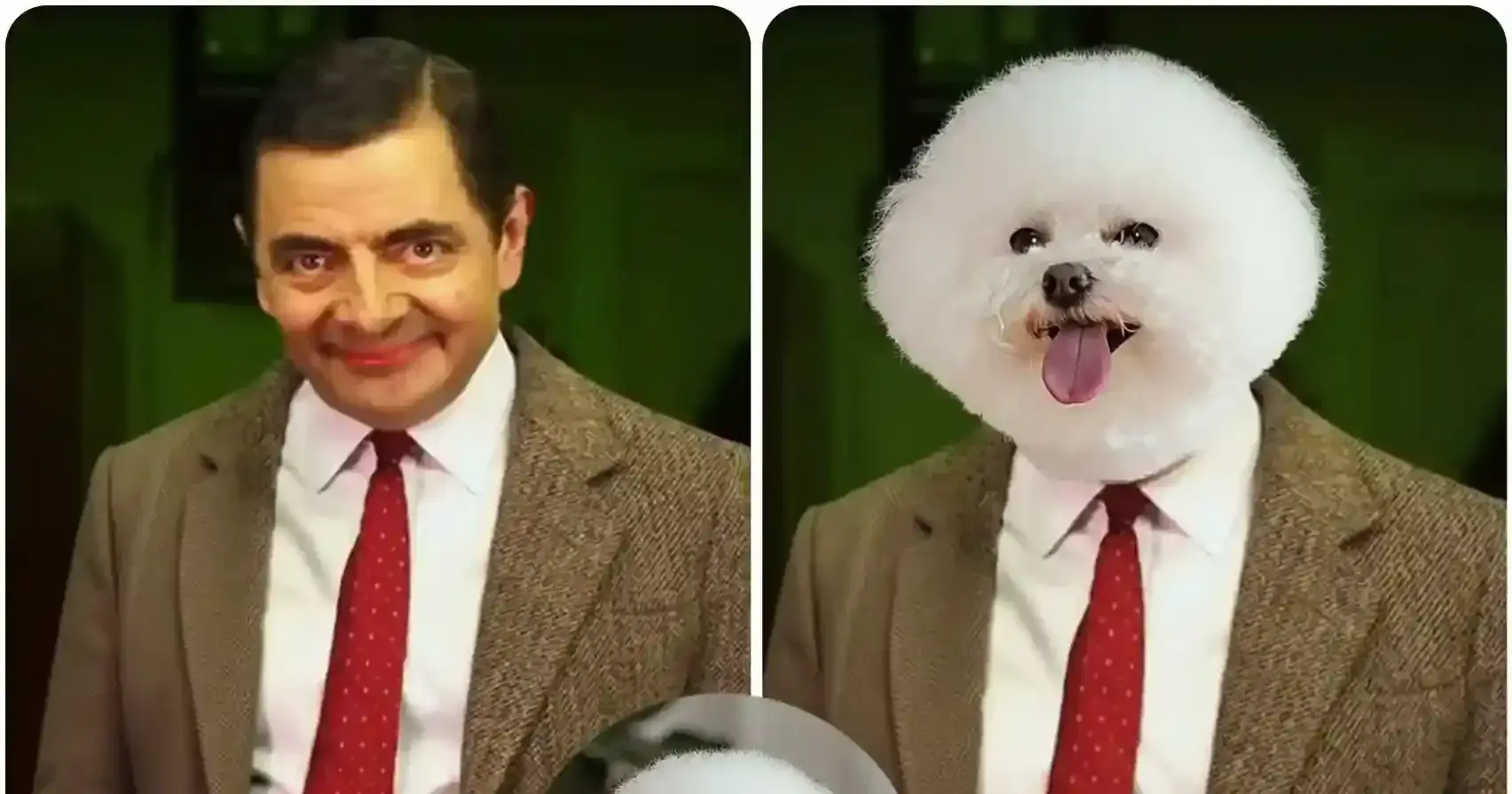 Animal Face Swap: Turn Yourself into Your Favorite Animal in Seconds