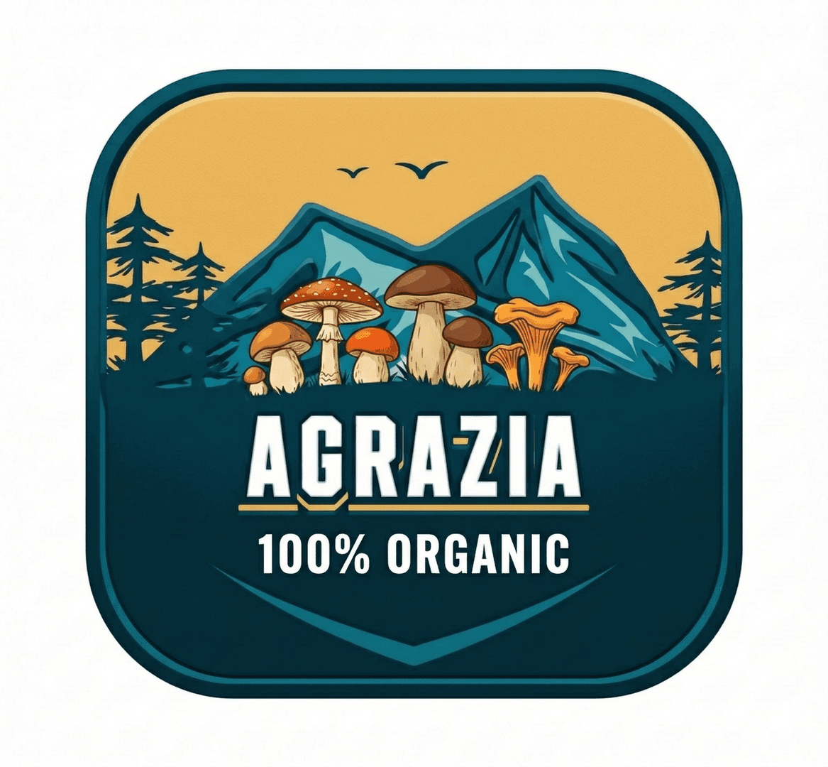 Agrazia — B2B & B2C Marshroom distribution image 1