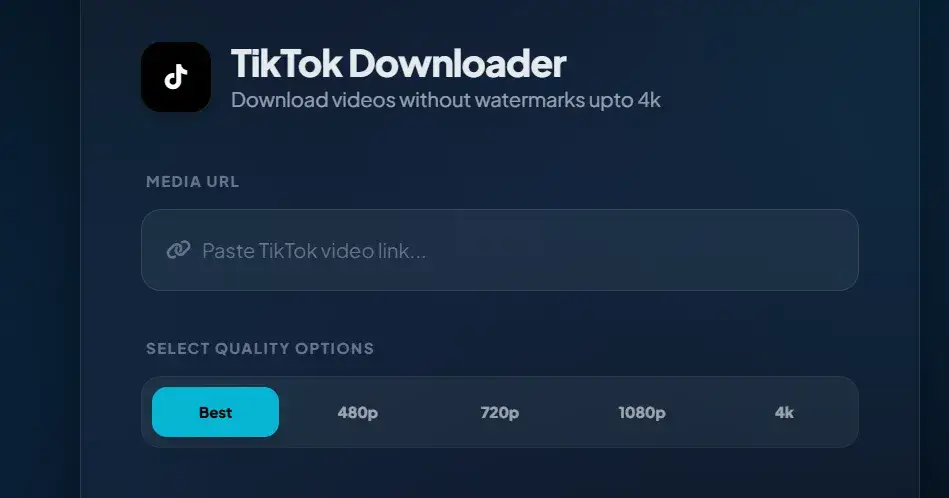 TikTok Video Downloader Online Free (4K Quality, No Watermark)