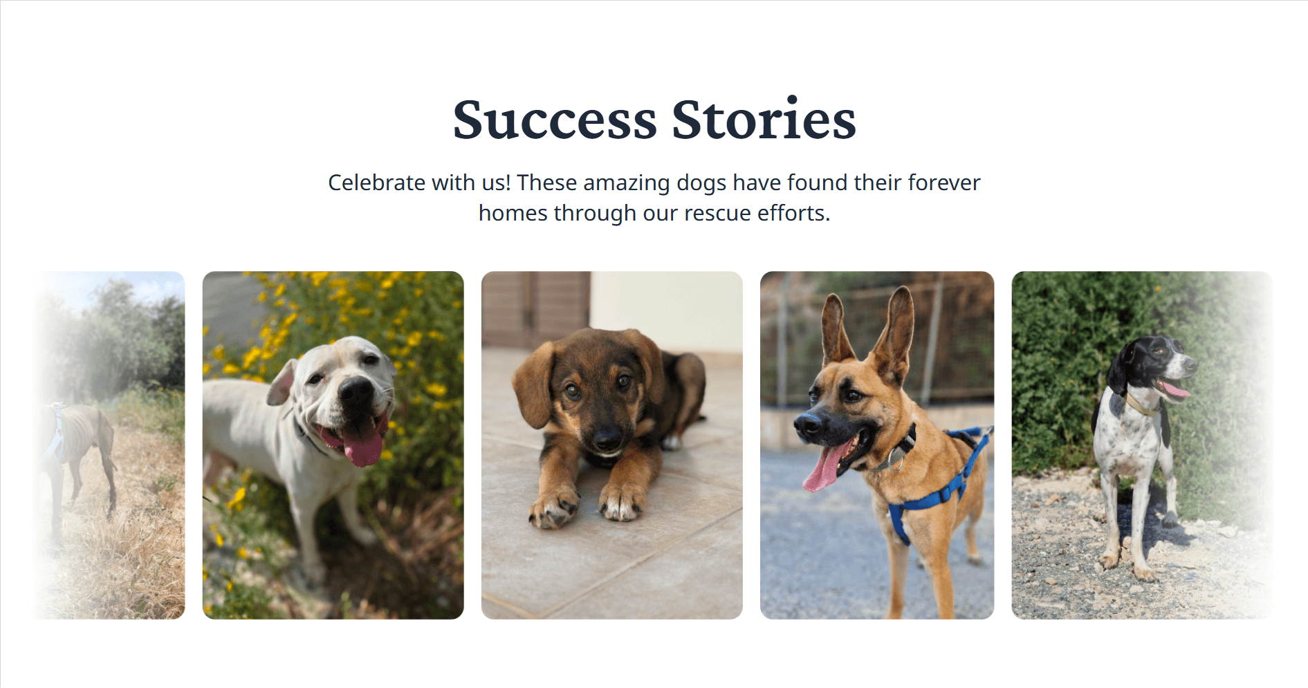 CARE Project image 3