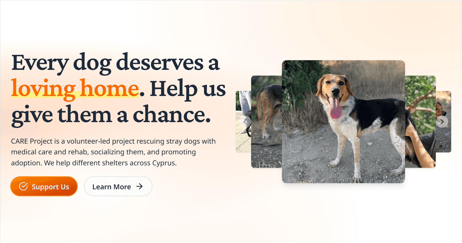 CARE Project image 1