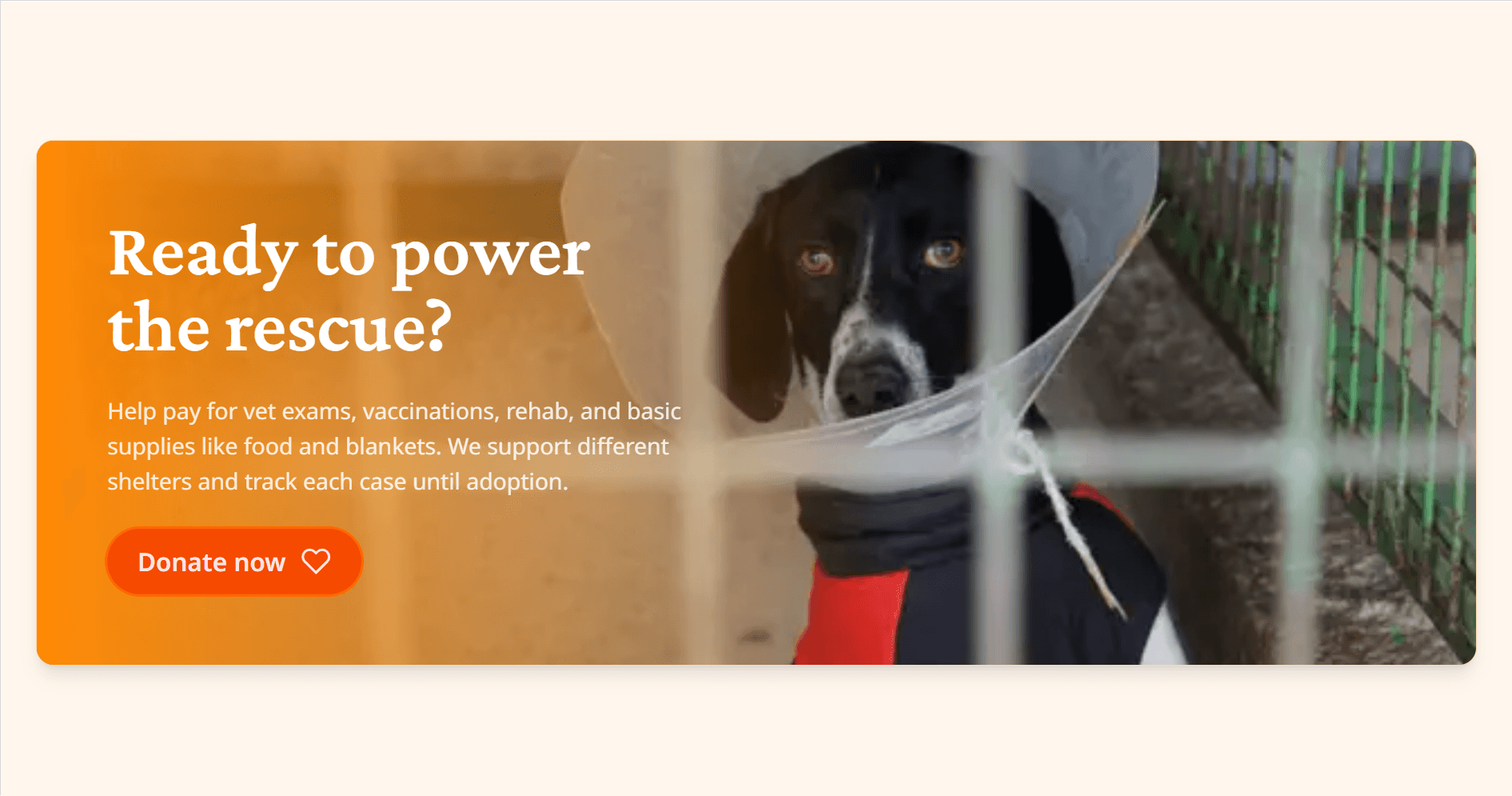 CARE Project image 4