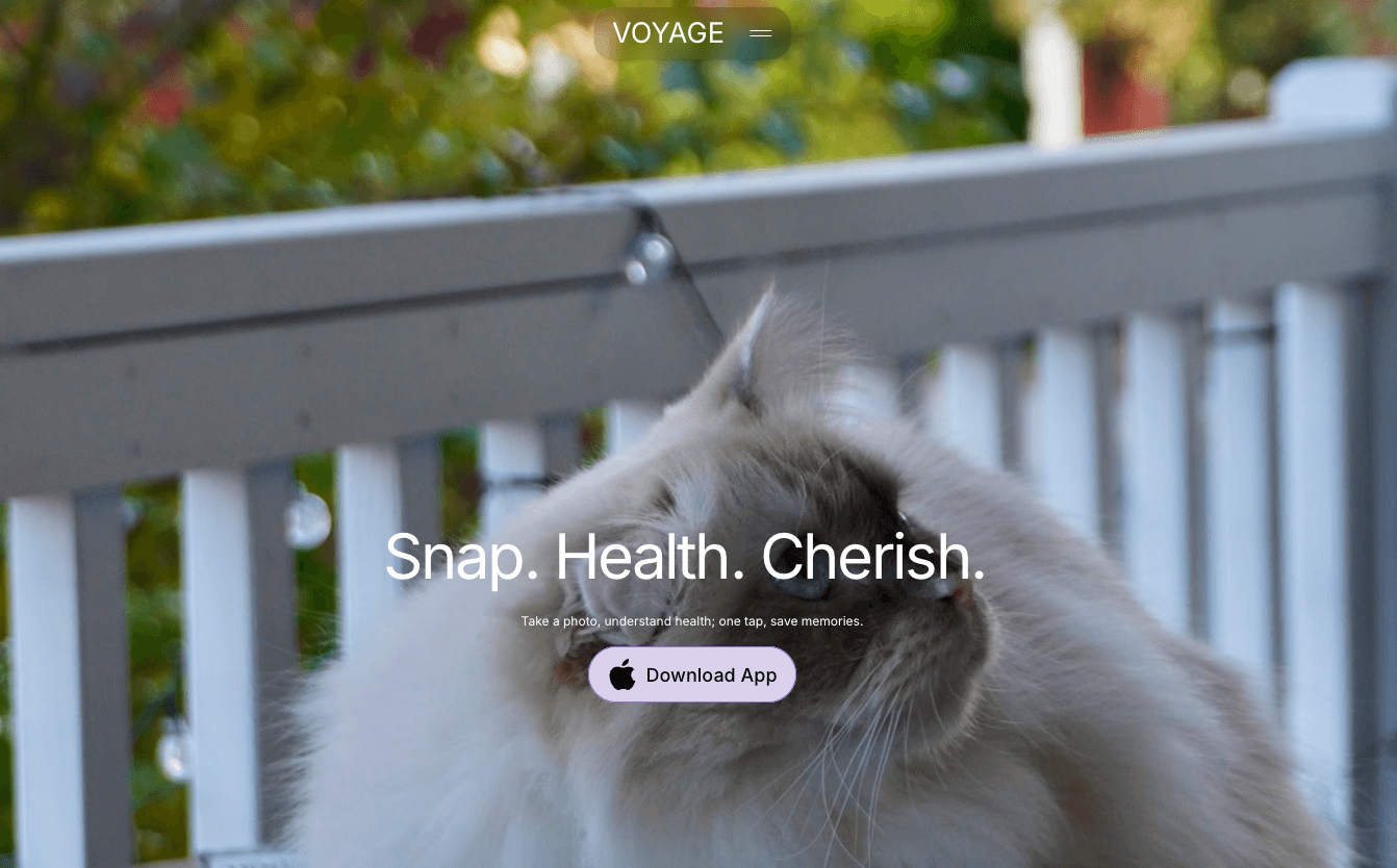 Voyage Pet AI image 2