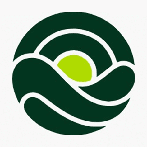 SeaBuddy - Happier, Healthier Voyages