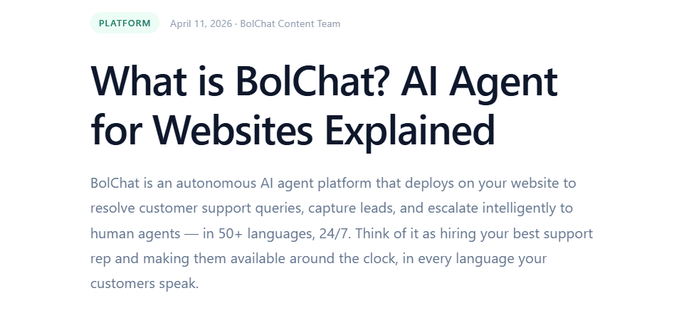 BolChat — Multilingual AI Agents for Websites image 2