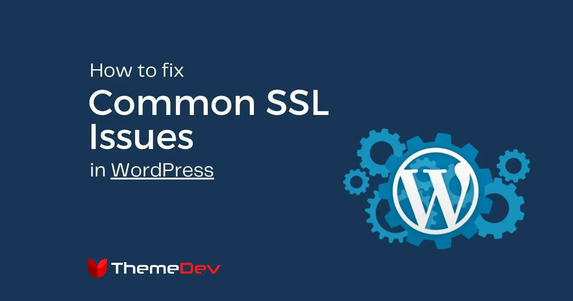 How to Fix Common SSL Issues in WordPress