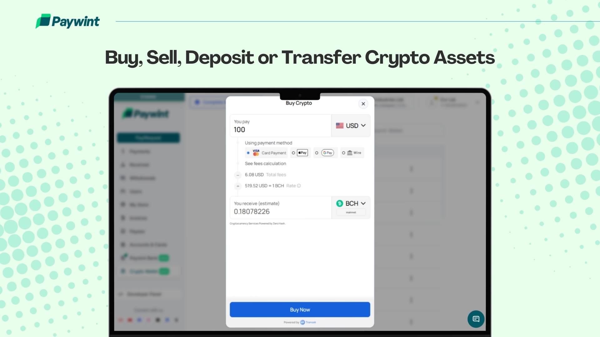 Paywint - Instant Payments for US Businesses image 3