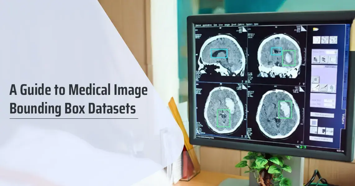 A Guide to Medical Image Bounding Box Datasets
