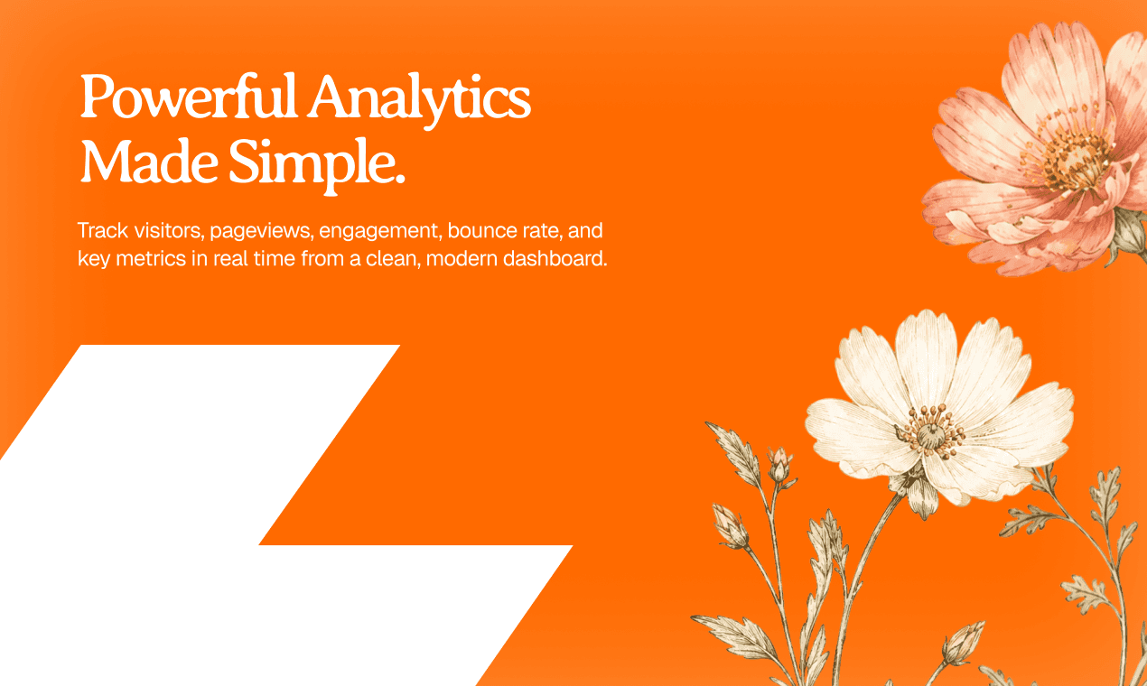 Reignat Analytics image 4