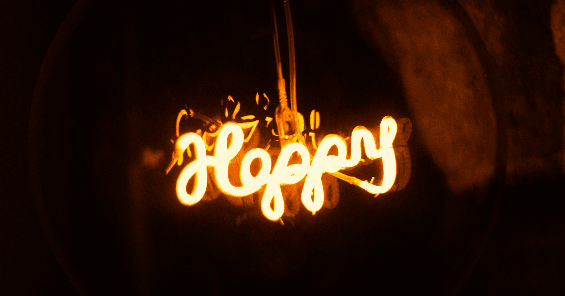 How to Run 24 Startups at Once: The John Rush Way