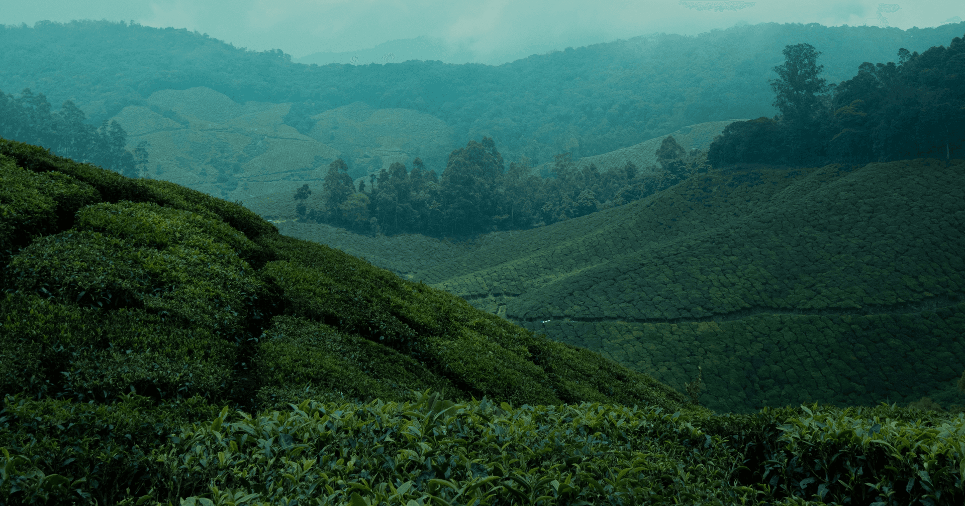 Building AI the Indian Way: Startups, Scale, and the Billion-Person Brief