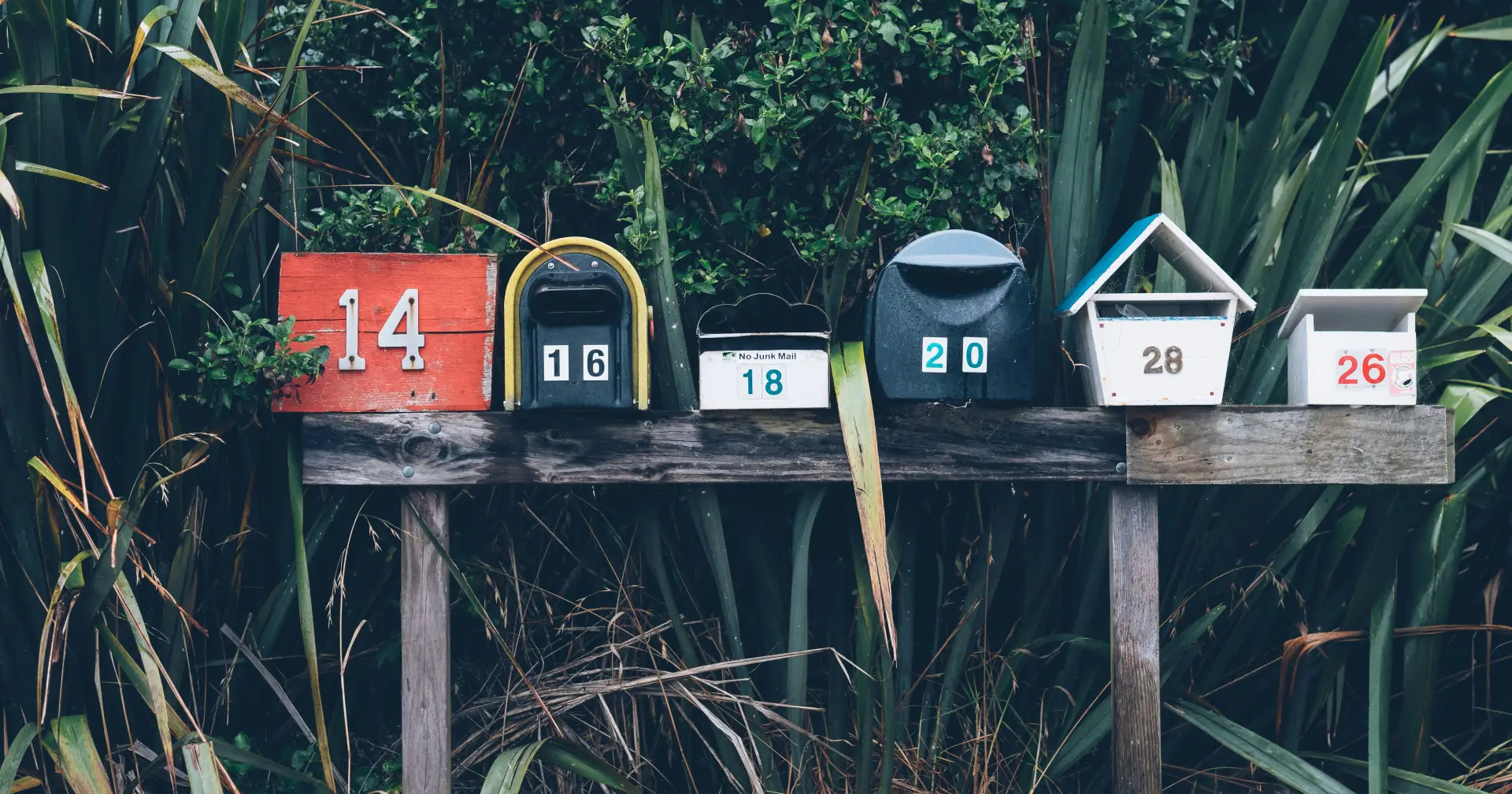 Betting on Yourself: The High-Agency Path from 49 Cents to $250M
