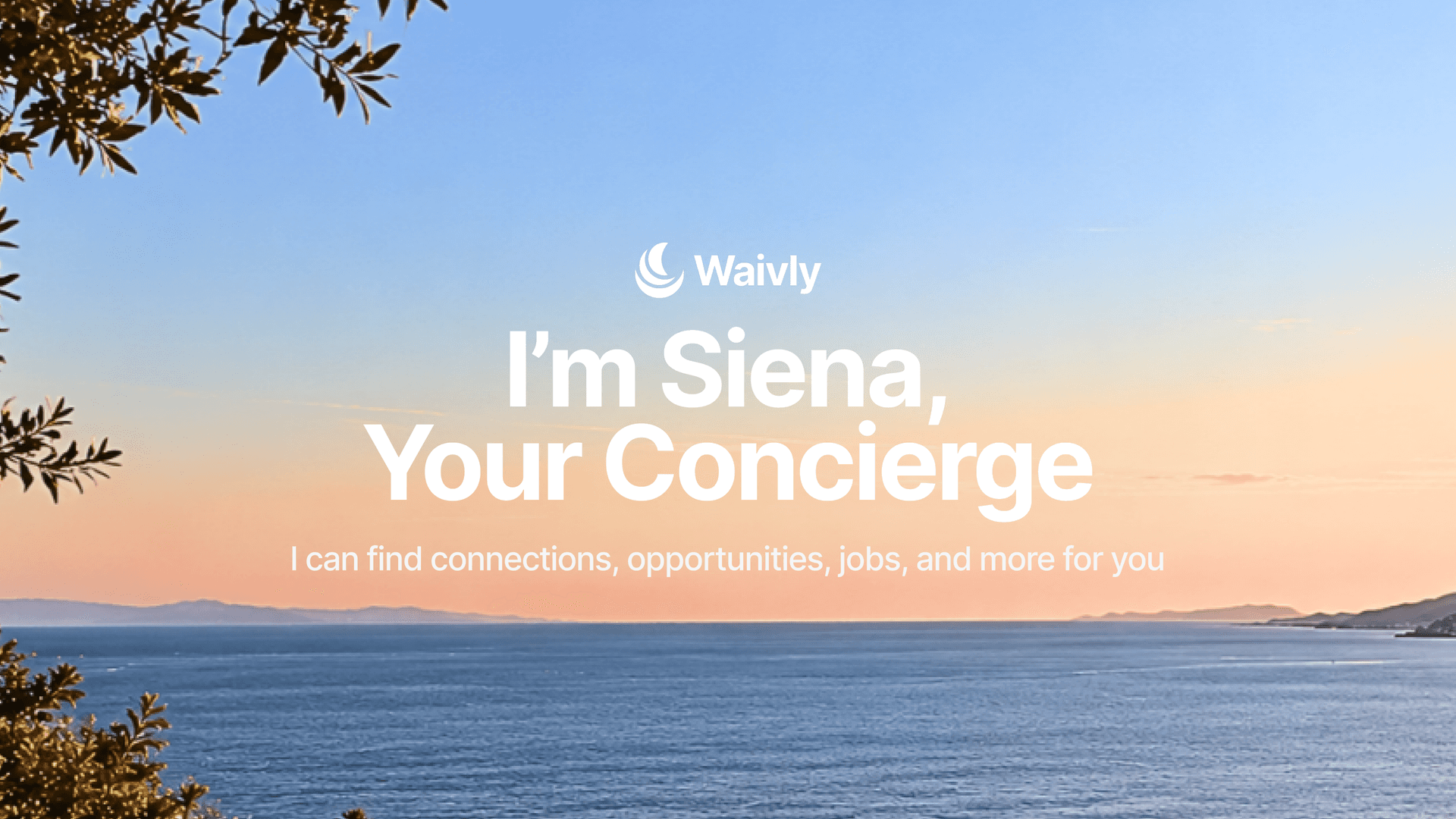 Siena - Finding Connections For You image 1