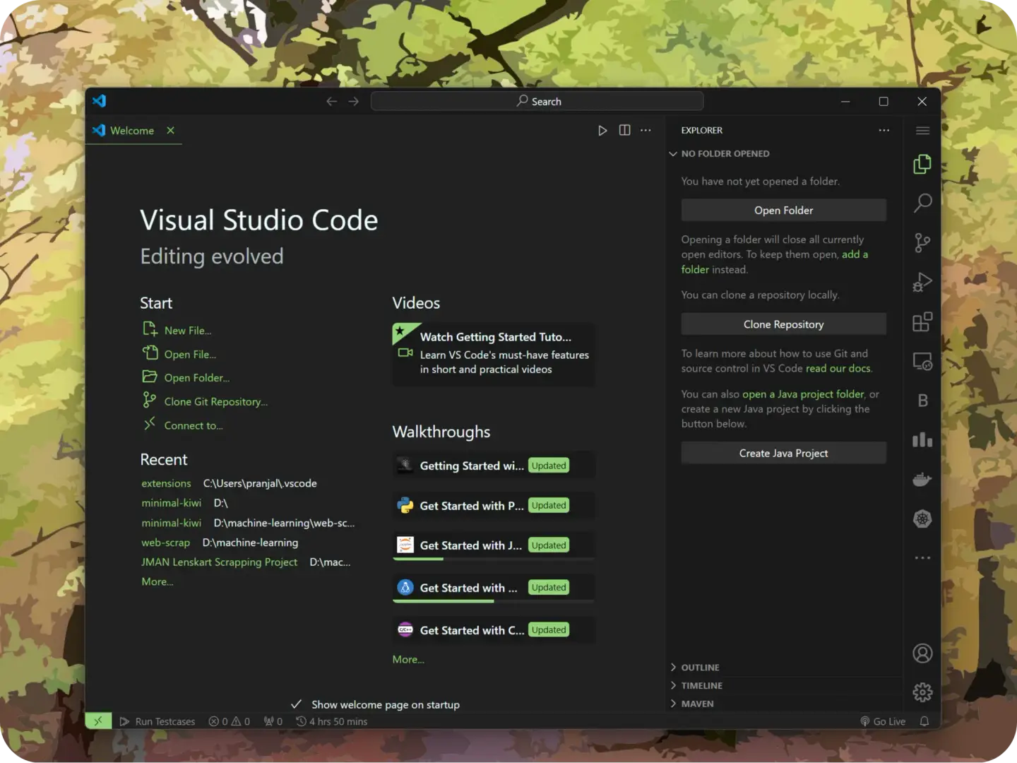 Minimal Kiwi - Visual Studio Marketplace image 4