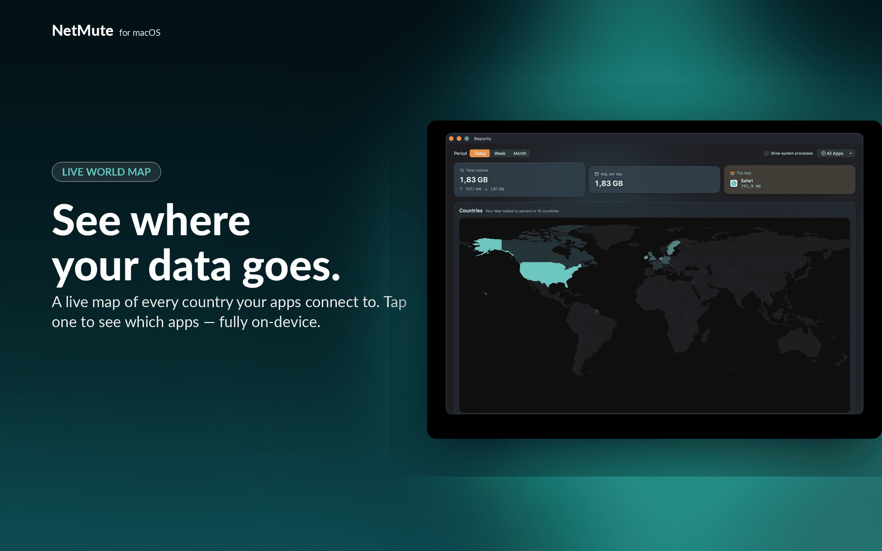 NetMute image 2