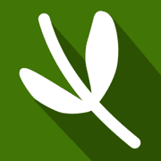 Twiglit