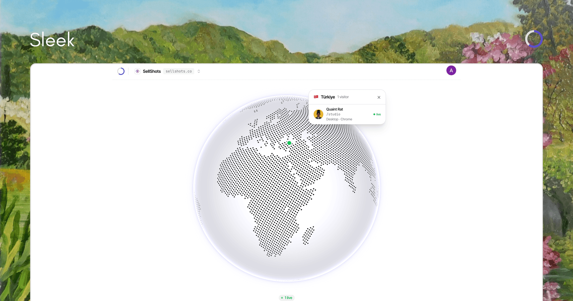 Sleek Analytics image 4