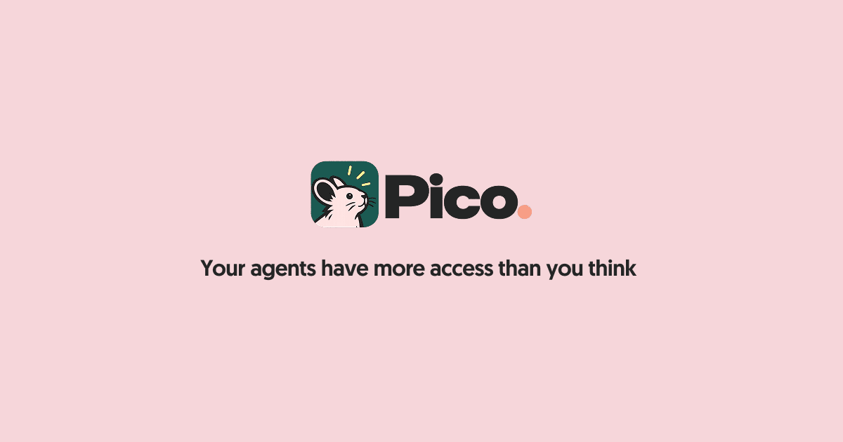 Pico image 2